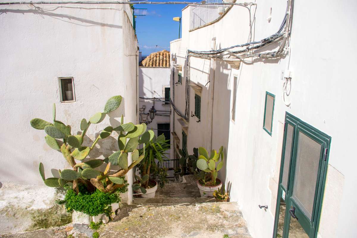 Ostuni: cosa vedere, cosa fare, spiagge, dove mangiare e storia della ostuni cosa vedere